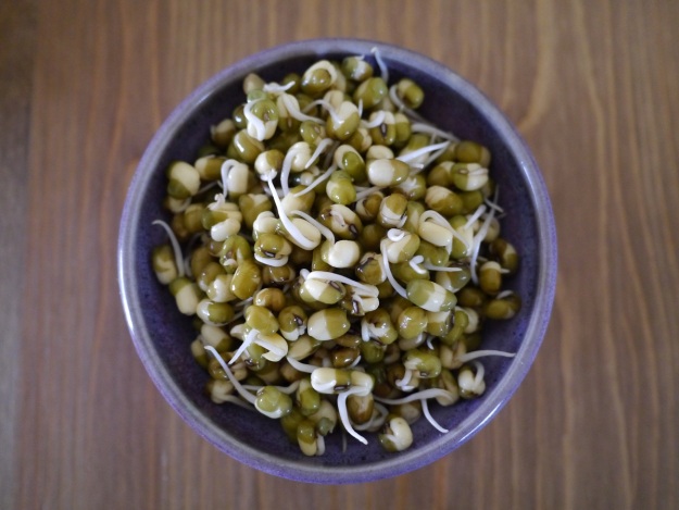 sprouts2jpg